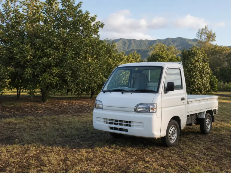Are Kei Trucks Legal in Hawaii? Registration, Documents & Island Rules
